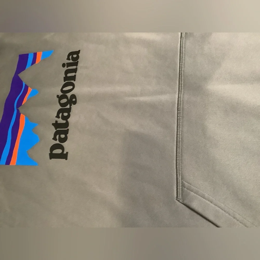 Patagonia Mens Xl Hoodie